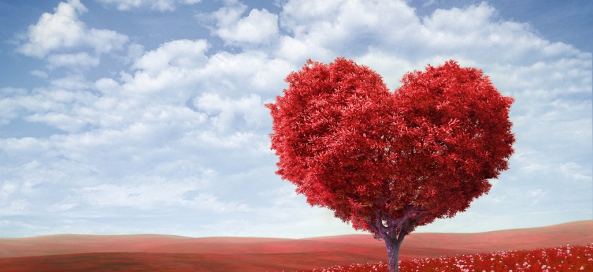 shutterstock_124858933