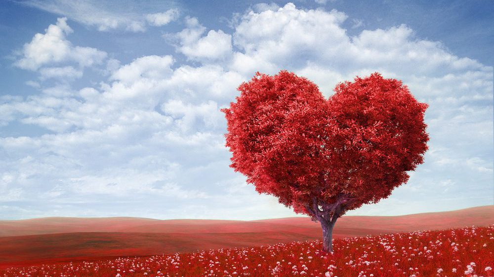 shutterstock_124858933